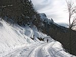 Belle le piste di fondo di Oltre il Colle! (11 febbraio 09)  -  FOTOGALLERY